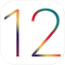 iOS 12 Logo